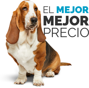 Calculo Seguros De Coche